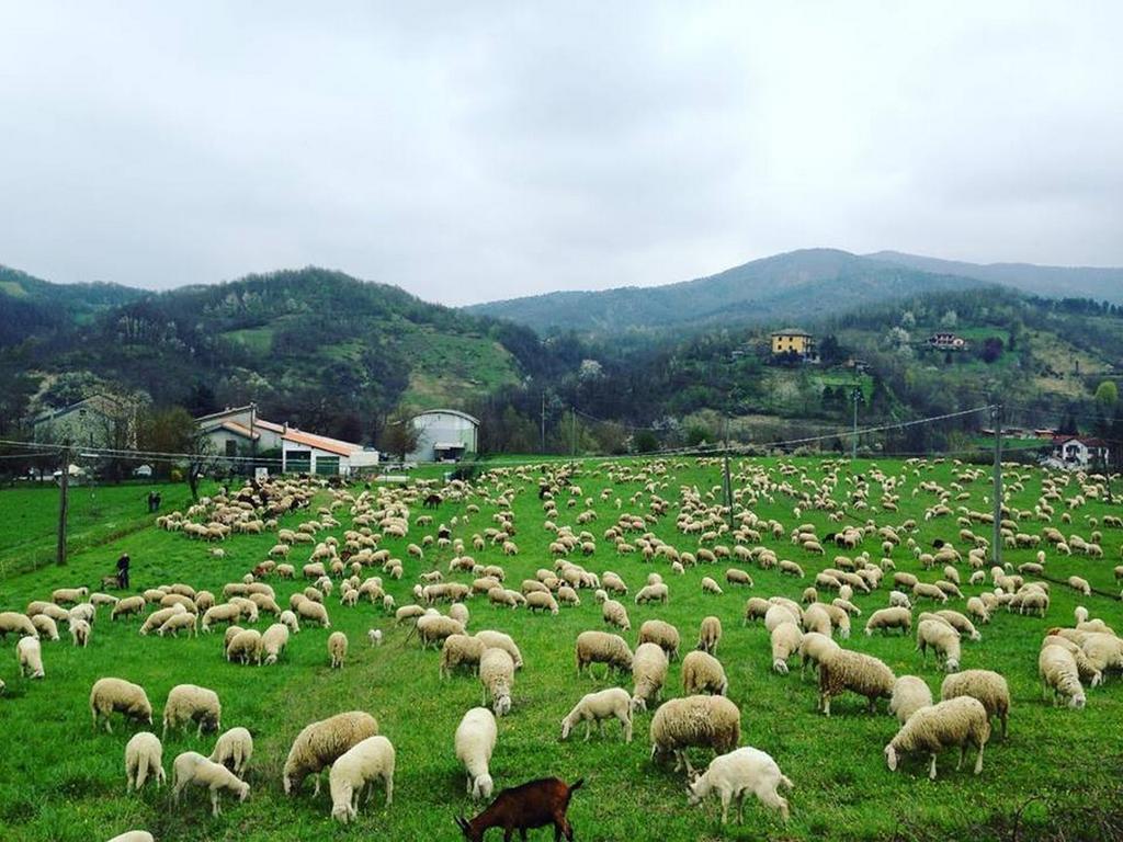 B&B Cascina Santa Gavi Buitenkant foto