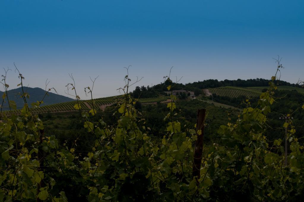 B&B Cascina Santa Gavi Buitenkant foto