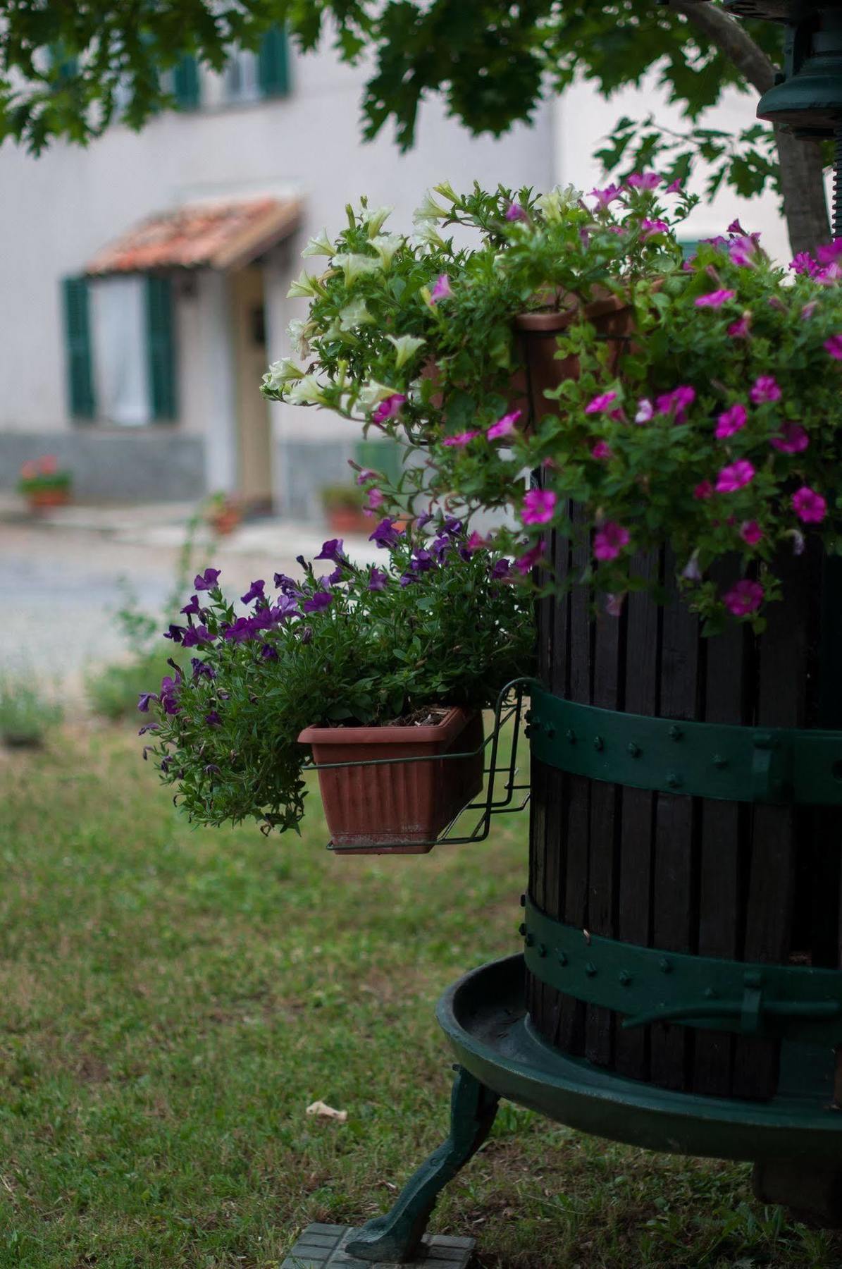 B&B Cascina Santa Gavi Buitenkant foto
